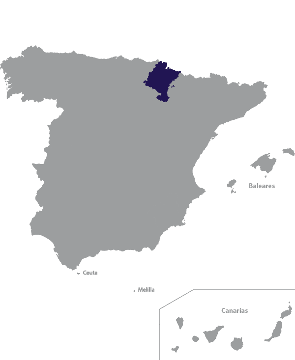 Landkaart Spanje grijs met regio Navarra donkerblauw op transparante achtergrond - 600 * 733 pixels